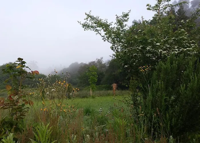 Camino Del Norte 3* Güemes